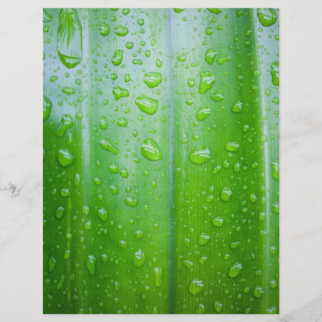 Green leaves background flyer (Front)