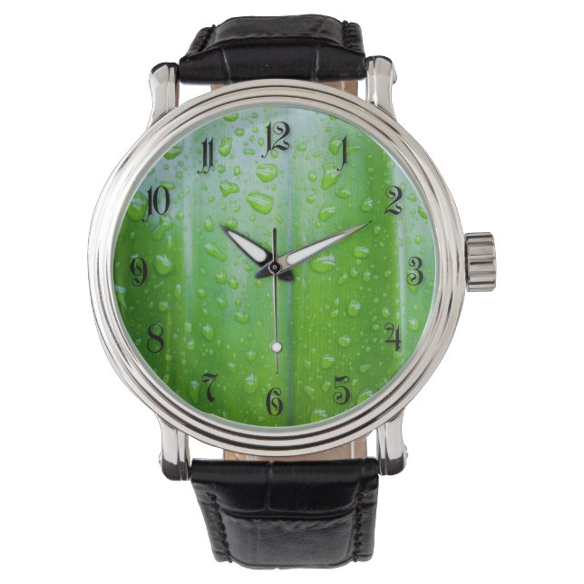 Green leaves background watch (Front)