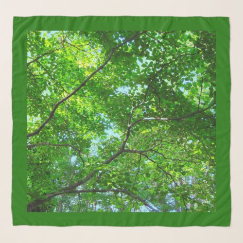 Green Leaves Branches and Blue Sky Scarf