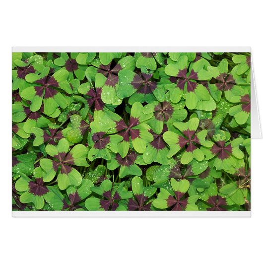 Green Leaves Cards (Front Horizontal)