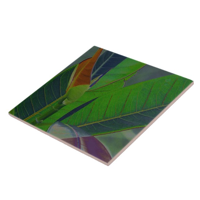 Green Leaves Close-Up Ceramic Tile (Side)