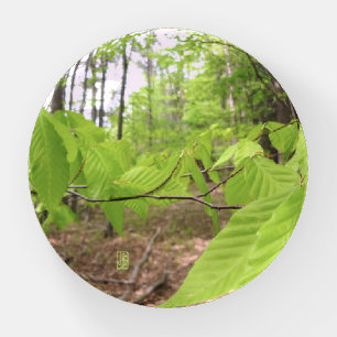 Green Leaves Dome Paperweight