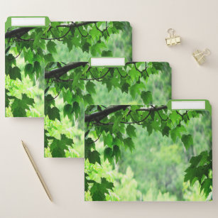 Green Leaves File Folder Set