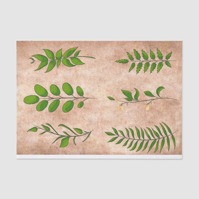Green leaves foliage plants distressed faded sepia tissue paper (Front)