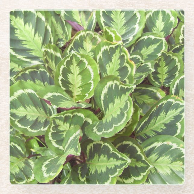 Green leaves glass coaster (Front)