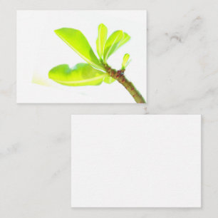 Green Leaves Kudu Lily Nature Feel Enclosure Card