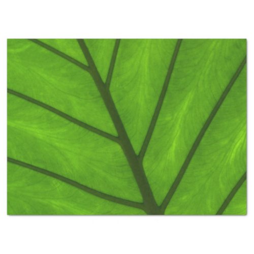 Green Leaves Leaf Background Leaf Laves Plant Tissue Paper