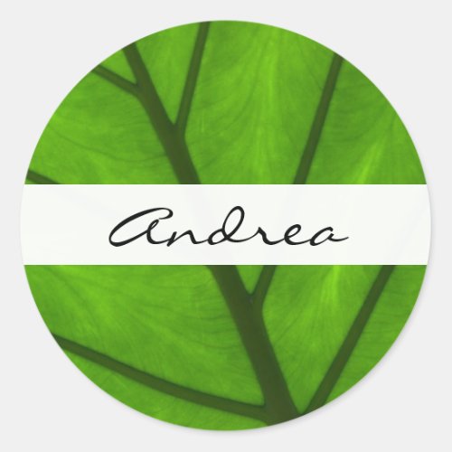 Green Leaves Leaf Background Leaf Your Name Classic Round Sticker