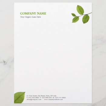 Green Leaves Letterhead by BluePlanet at Zazzle