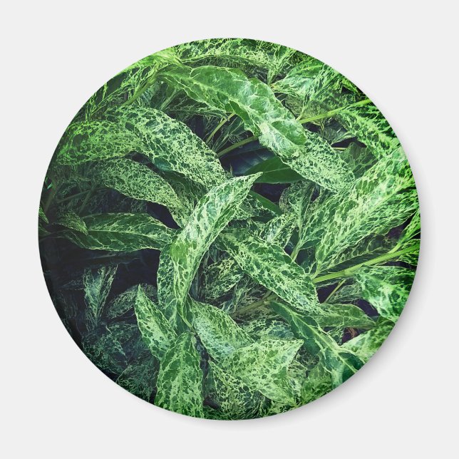 Green leaves magnet (Front)