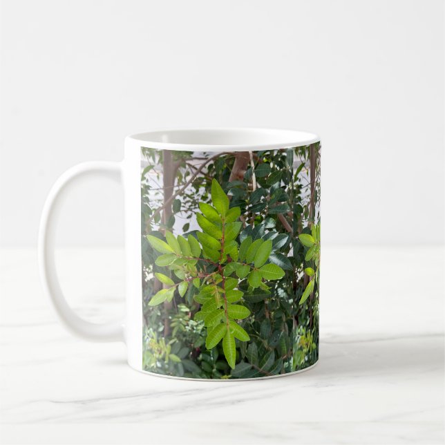 Green Leaves Mug – Botanical Photo from Tenerife (Left)