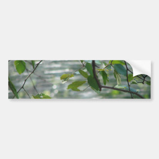 Green Leaves Of Hope Bumper Sticker