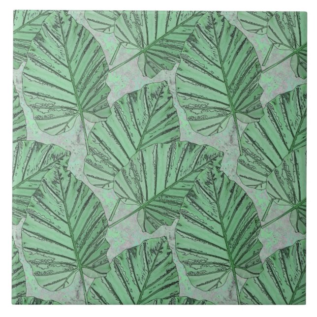 Green leaves on a gray stone. ceramic tile (Front)