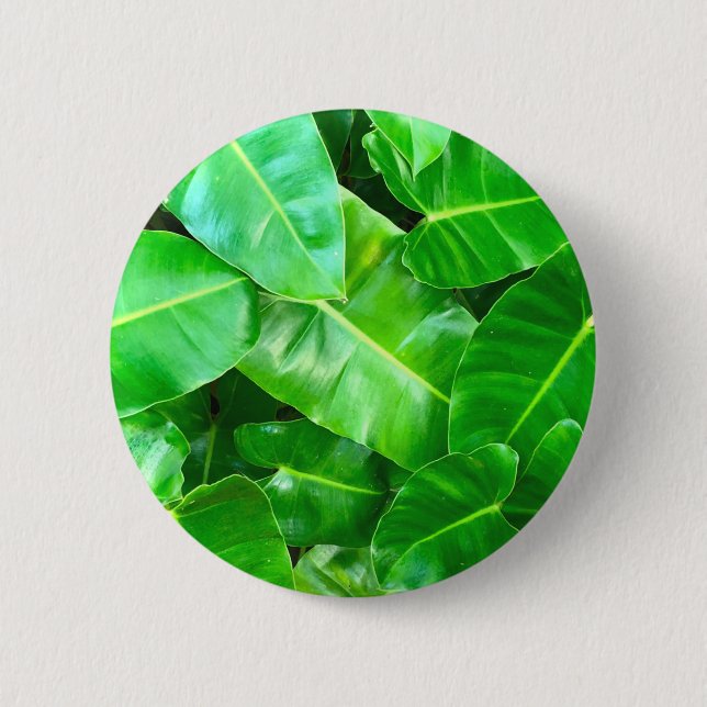 Green leaves Palm Leaf tropical foliage jungle  Button (Front)