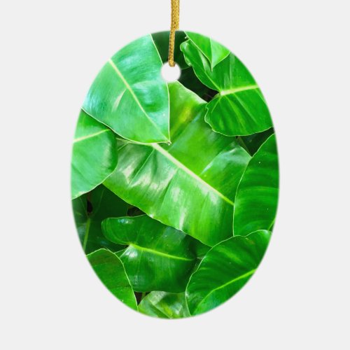Green leaves Palm Leaf tropical foliage jungle  Ceramic Ornament