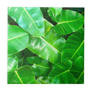 Green leaves Palm Leaf tropical foliage jungle Ceramic Tile