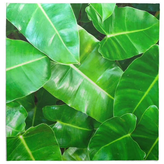 Green leaves Palm Leaf tropical foliage jungle  Cloth Napkin (Front)
