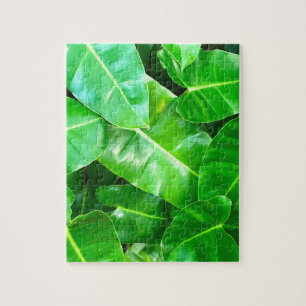 Green leaves Palm Leaf tropical foliage jungle Jigsaw Puzzle
