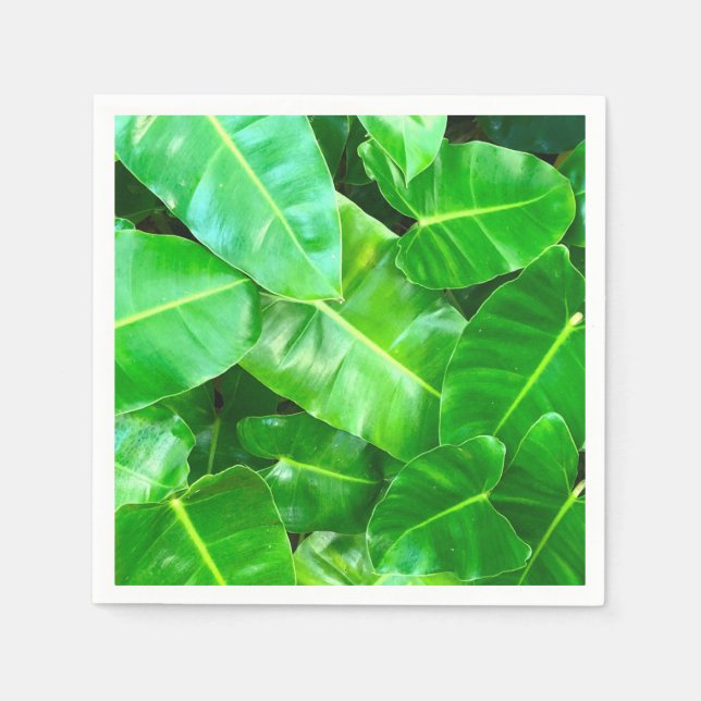 Green leaves Palm Leaf tropical foliage jungle  Napkins (Front)