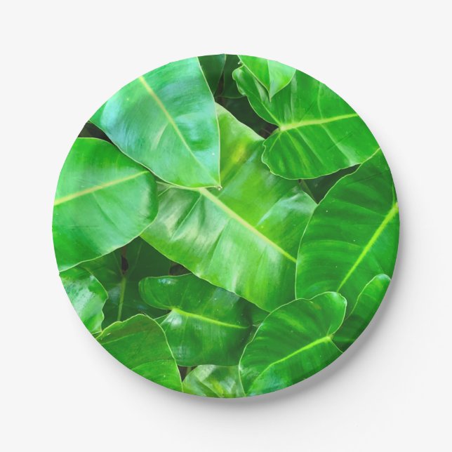 Green leaves Palm Leaf tropical foliage jungle  Paper Plates (Front)