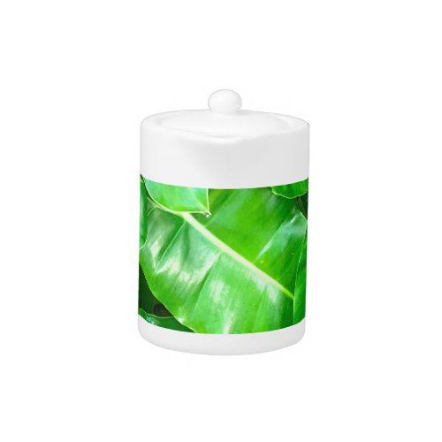 Green leaves Palm Leaf tropical foliage jungle  Teapot