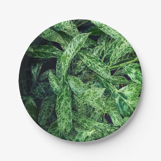 Green leaves paper plates (Front)