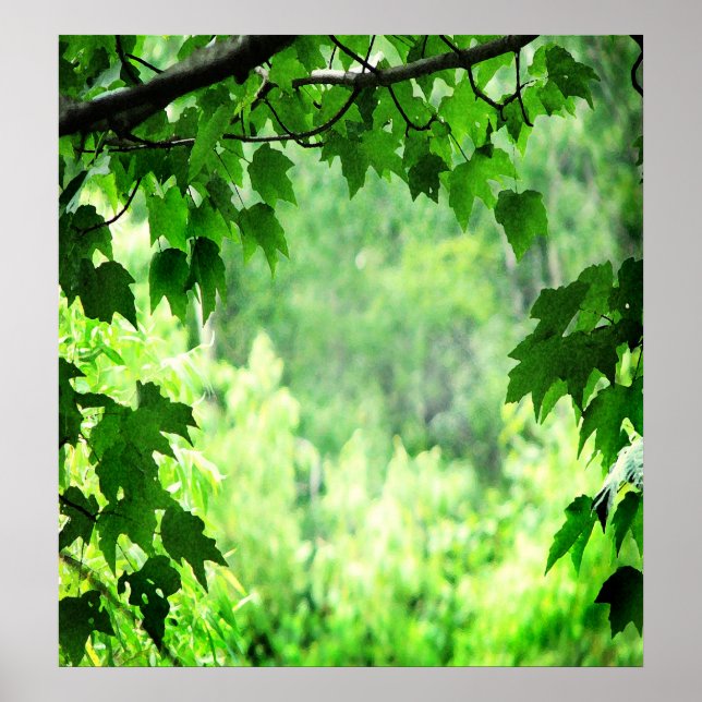 Green Leaves Poster (Front)