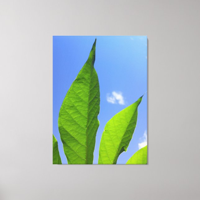  Green Leaves Reaching the Sky Canvas Print (Front)