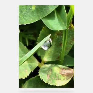 Green Leaves Romania - Botanical Foliage Wall Art Acrylic Sign