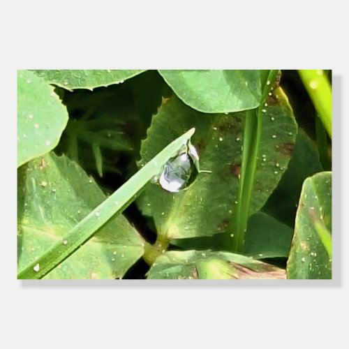 Green Leaves Romania - Botanical Foliage Wall Art Foam Board