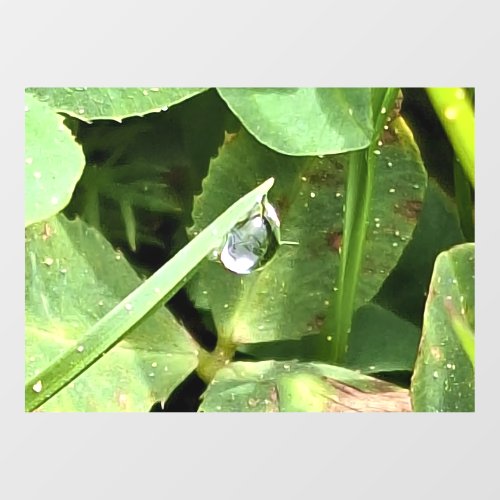 Green Leaves Romania - Botanical Foliage Wall Art Window Cling