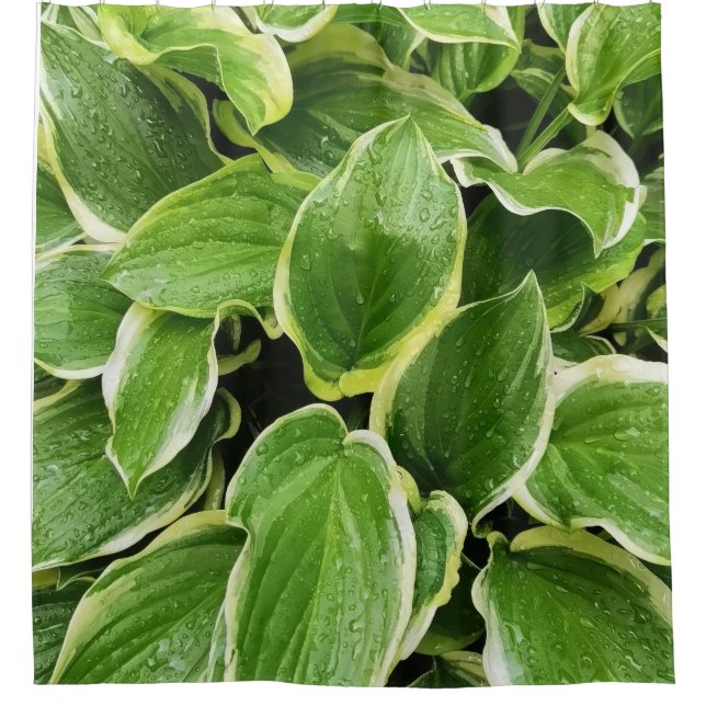 green leaves shower curtain (Front)