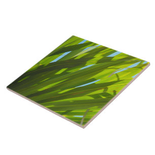 Green Leaves, Sunlight and Blue Sky Tile