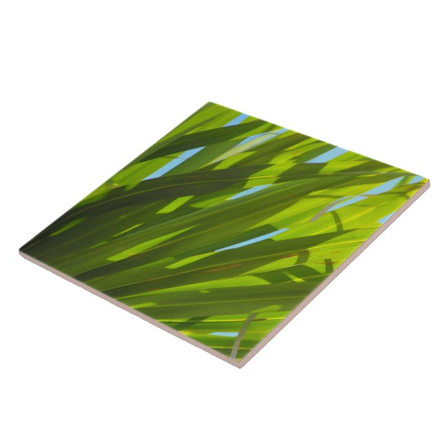 Green Leaves, Sunlight and Blue Sky Tile (Side)