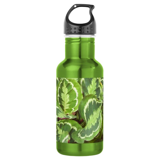 Green leaves water bottle (Front)