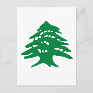 Green Lebanon Cedar Postcard