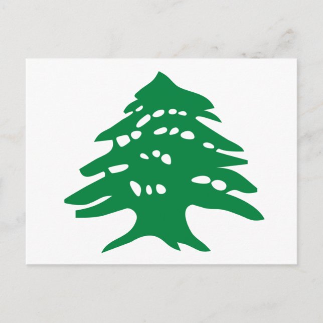 Green Lebanon Cedar Tree Postcard (Front)