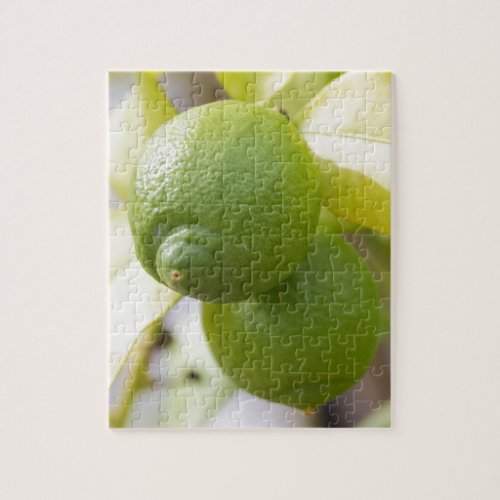 green lemon jigsaw puzzle