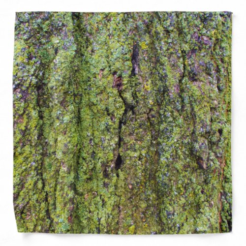 Green Lichen on Tree Bark Nature Bandana