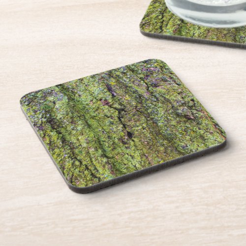 Green Lichen on Tree Bark Nature Beverage Coaster