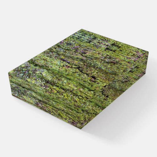 Green Lichen on Tree Bark Nature Lovers  Paperweight
