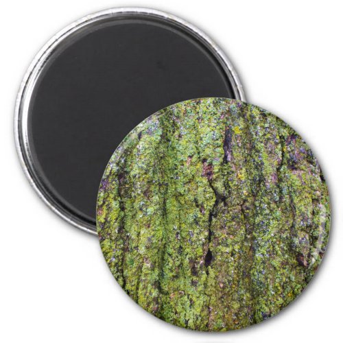 Green Lichen on Tree Bark Nature Magnet