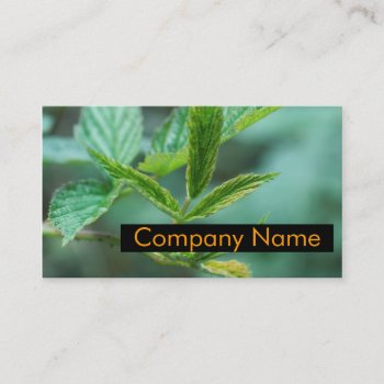 Green Lifestyle Business Card by GetArtFACTORY at Zazzle