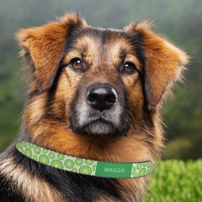 Green Lime Fruit Slices Pattern & Custom Pet Name Pet Collar (Please note: This image is a digital mockup. The product may not be in scale.)