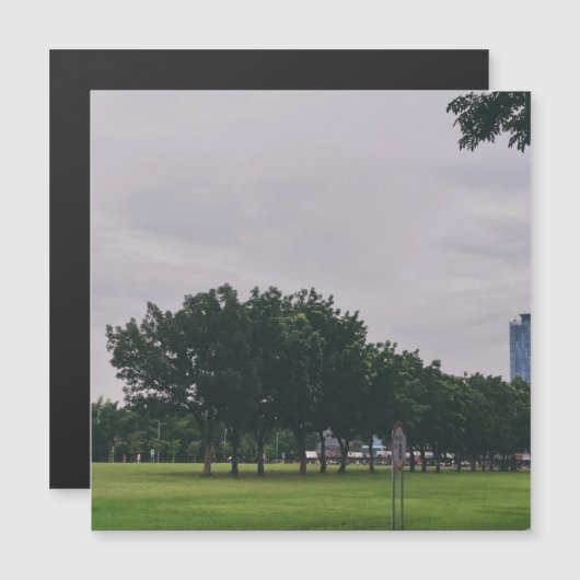 Green line (Front/Back)