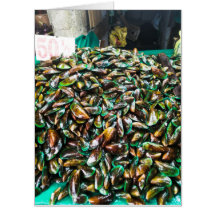 Green Lipped Mussels For Sale
