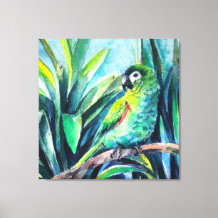Green Little macaw Canvas Print