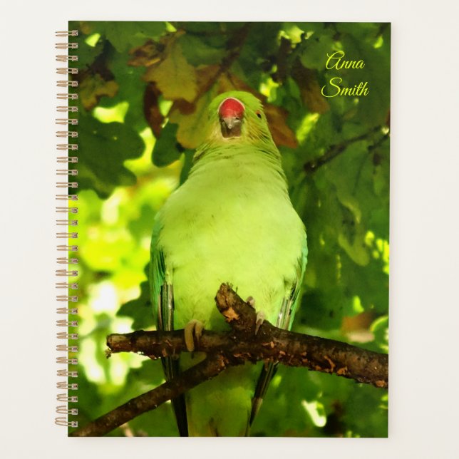 Green Little Parrot Bird  Planner