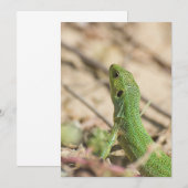 Green lizard (Front/Back)