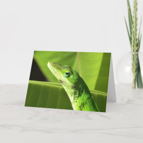 Green Lizard Anole Card